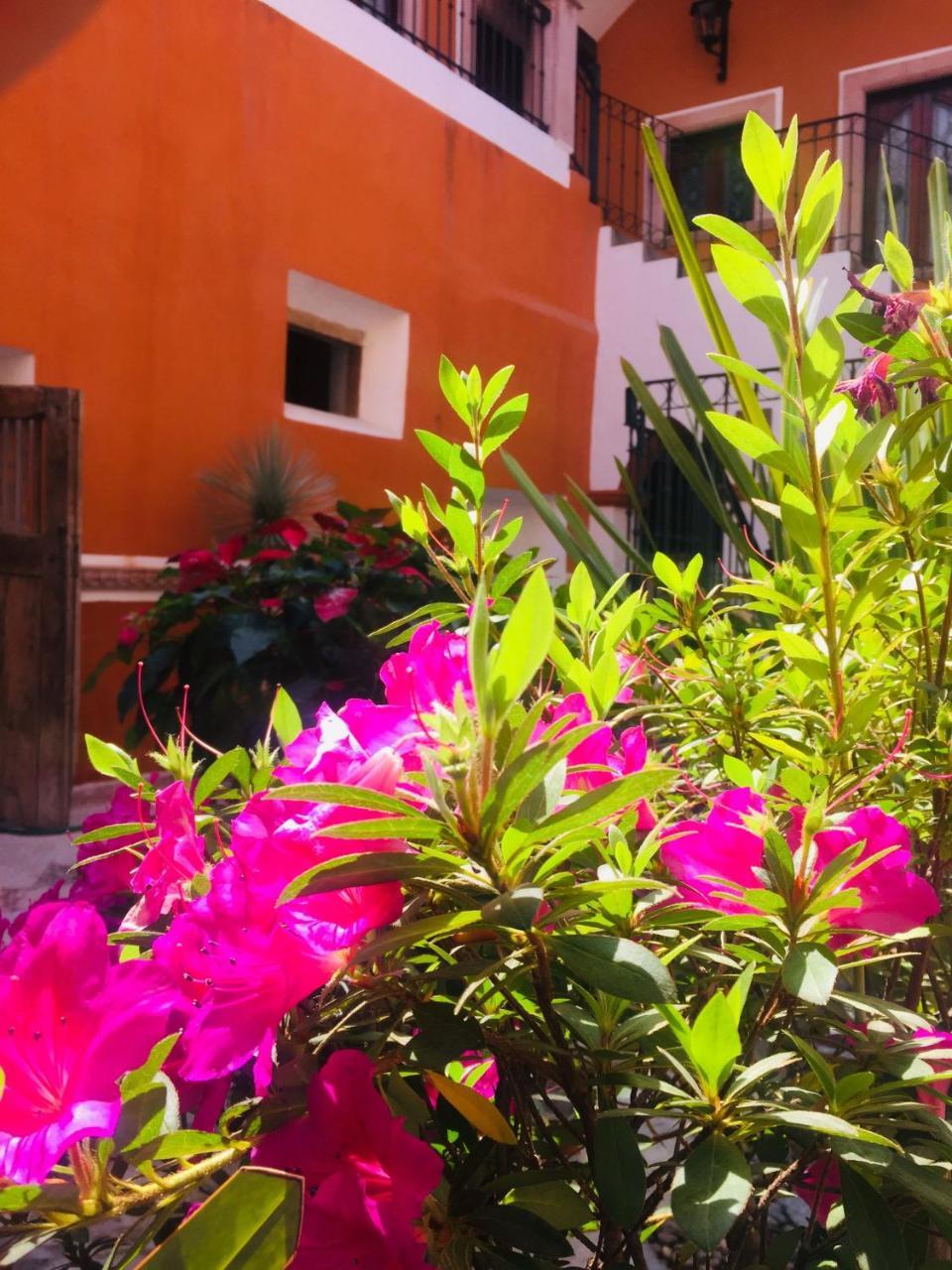 Casa Pozo Del Rayo Hotel Boutique Долорес-Идальго Экстерьер фото
